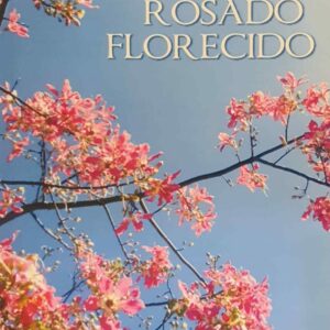 Rosado Florecido - Mirta Susana Martínez de Altieri